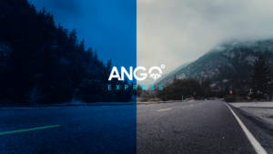 Branding Ango