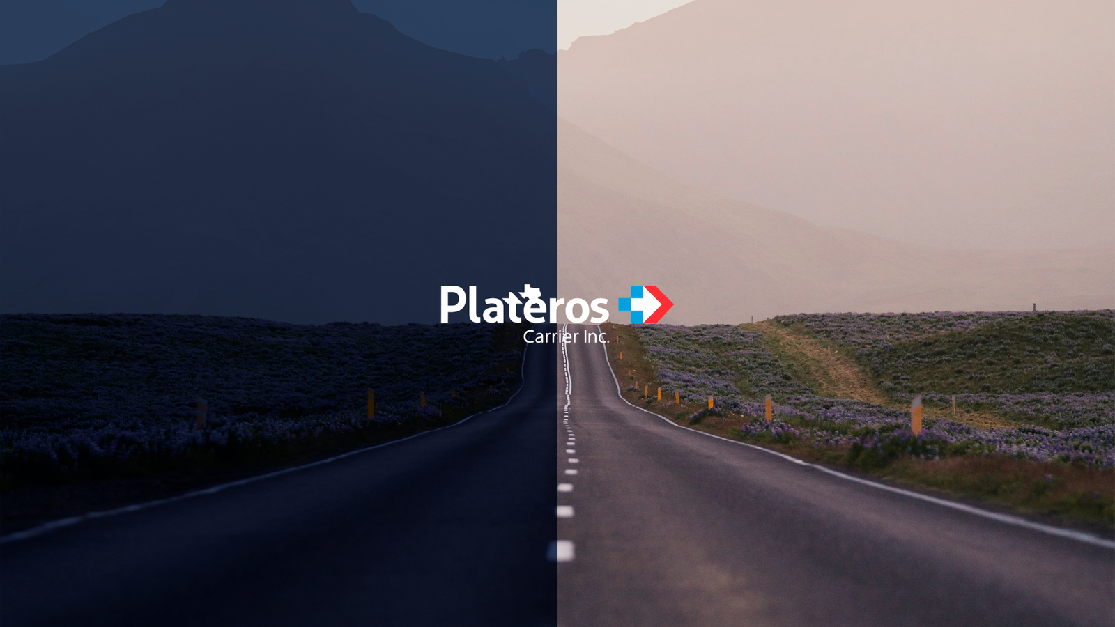 Branding Plateros TX