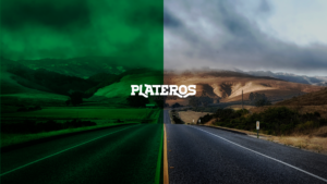 Web Plateros Trucking